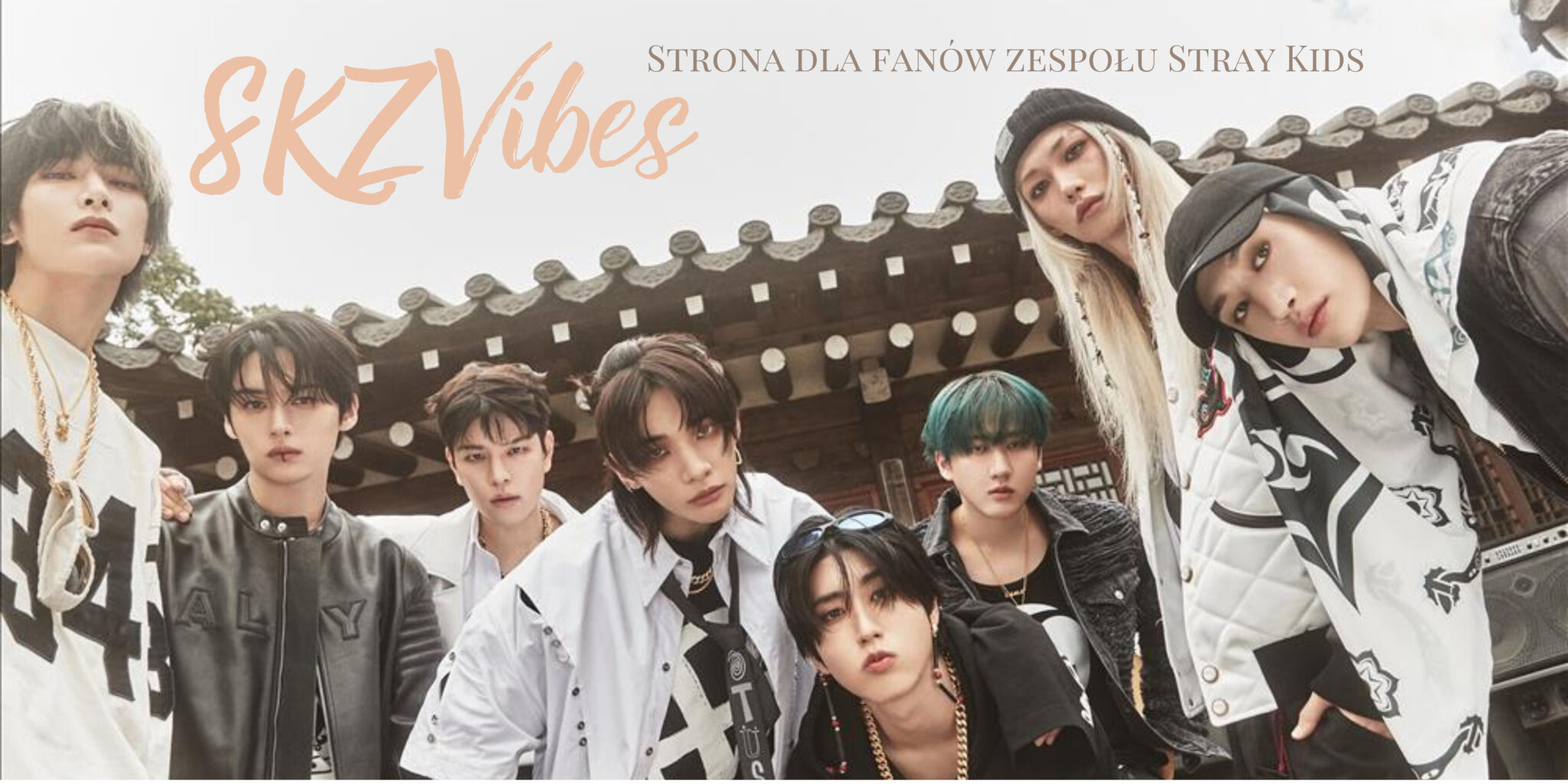 Stray Kids - baner